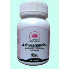 Herba Ayurvedica Withania Somnifera (Hint Ginsengi) 60 Kapsül | Adaptogen Bitkisel Takviye