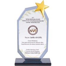 Best Hediye Kristal Cam Plaket Füme Renk Metal Yıldızlı