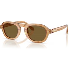 Giorgio Armani Ar 0AR8244 630073 49*24*145