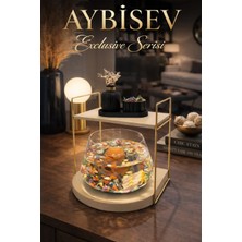 Reyo Ok-Ay Store Düz Raflı Işıklı Lüks Cam Fanus Içinde Beta Balığı Için Özel Tasarım Masa Üstü Dekoratif Akvaryum Gold-Krem