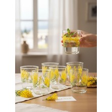 Cerve Mimosa 6'lı Su Bardağı Seti 315CC.