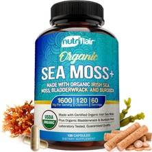 Nutriflair Organic Sea Moss 1600MG Bladderwrack Burdock Prebiotic Immune System & Digestive Health - Thyroid, Healthy Skin Keto Detox Gut 120