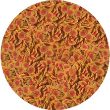 Tetra Pro Colour Açık 50gr