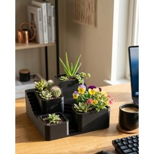 Senka 3D Baskı Kaktüs ve Sukulent Saksı Seti Çok Katlı Şık Ev Ofis Dekoru
