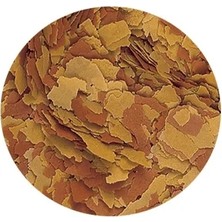 Tropical Vitality Color Flakes Kovadan Bölme 100GR