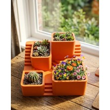 Senka 3D Kaktüs Saksı Seti Çok Bölmeli Modern Dekoratif Masaüstü Bitki Standı
