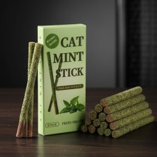 Lady Fify Kedi Için %100 Doğal Matatabi (Actinidia Polygama) Ağacı ve Catnip Karışımlı, Naneli 6 Parça Çubuk