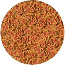 Tetra Pro Colour Açık 250gr