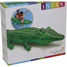intex Timsah 168 Cm, Eğlenceli ve Renkli Oyuncak, Çocuklar Için Harika Seçim