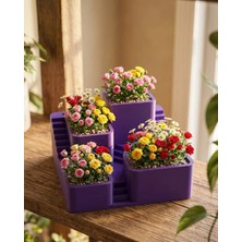 Senka 3D Tasarım Kaktüs Saksısı Çok Katlı Dekoratif Bitki Standı