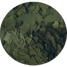 Tropical Super Spirulina Forte Kovadan Bölme 50GR