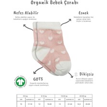 Senka Mey Ithalat® 3'lü Penye Cute Stars Soket Çorap BS10115 Pembe