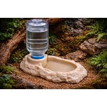 Teraryum Sürüngen Şişe Takılabilir Su Kabı