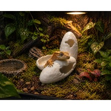 Dinozor Yumurtası Sürüngen Mağarası Xl