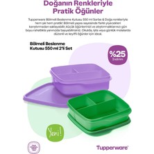 Özbience Çok Bölmeli 550ML ve 2l Beslenme Kutusu Seti, Pratik ve Şık Tasarım