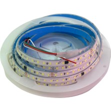 Powerr Led Aydınlatma 24 Volt 6500K Beyaz Argb Pixel Magic Kayar 60 LED 5050 Smd Ip 67 Dış Mekan 5 Metre