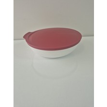 Özbience Kaliteli 740 ml Kırmızı Saklama Kabı, Pratik ve Şık Tasarım