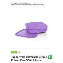 Özbience Bölmeli 550 ml Beslenme Kabı, Renkli ve Şık Tasarım