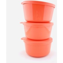 Özbience 3'lü 550ML Saklama ve Taşıma Kapları, Pratik ve Şık Set