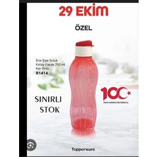 Özbience Sağlıklı ve Şık 750ML Paslanmaz Çelik Suluk Matara