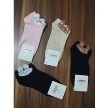 Tüylü Kedi Desenli 4 Renk Pamuklu 200 Iğne Sık Dokuma 12 Çift Patik Çorap