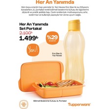 Özbience Heran Yanımda Set: Portakal Eco Şişe 1l ve Bölmeli Beslenme Kutusu