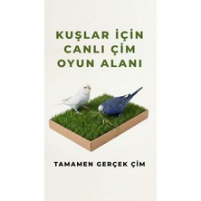 Pati Nefes Kuş Canlı Gerçek Çim Oyun Alanı