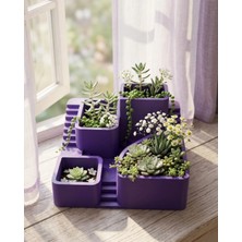 SHC4200 Dekoratif 3D Kaktüs Saksısı Çok Bölmeli Bitki Düzenleyici