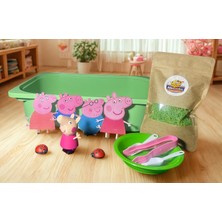 Allin Kids Box Domuzcuk Ailesi Duyusal Oyun Seti  (24-48 Ay Eğitici Aktivite)