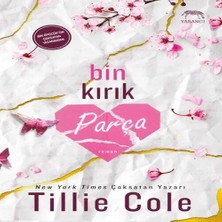 LTG Nova Bin Kırık Parça