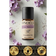 Ondéle Lilac Intense 10ML %100 Saf Uçucu Yağ | Difüzör ve Aromaterapi Esansiyel Yağı