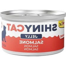 MarkEntegra Somon Balığı Aromalı Kedi Maması 70 Gram, Jöleli Formda