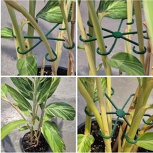 MarkEntegra Yeşil Renkli Bitki Destek Klipsi, 4 Adet Set