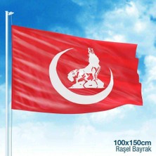 Asilmeydan Bozkurt Hilal Kırmızı Sancak Bayrak Mhp -100X150CM