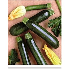 MarkEntegra Ata Tohumu Yerli Kara Kabak Karagül 20 Adet Tohum