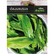 MarkEntegra 1000 Adet Kuzu Kulağı/ekşiotu Tohumu