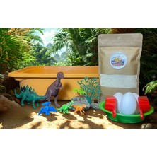 Dinozor Temalı Duyusal Oyun Seti