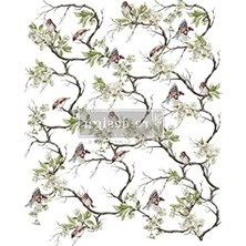 MarkEntegra Prima Blossom Fiight