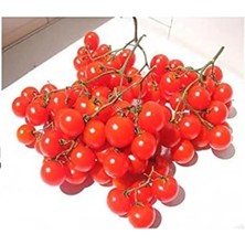 MarkEntegra 20 Adet Almanya Menşeli Salkım Kiraz Domates Tohumu