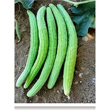 MarkEntegra Ata Tohumu Yerli Acur Köy Tipi 100 Adet Tohum