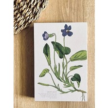 MarkEntegra Kapaklı A5 Çizgili Not Defteri, 180 Derece Açılabilen Tasarım