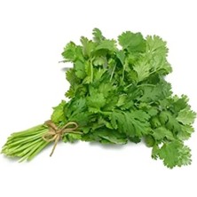 MarkEntegra Yöresel Aşotu Kişniş Tohumu, 500 Adet Paket