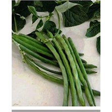 MarkEntegra 50 Adet Yerli Börülce Karagöz Tohumu, Ata Tohumu Seçeneği