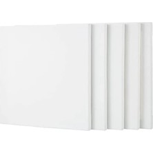 MarkEntegra 30X30 cm Ölçülerinde 5 Adet Tuval Seti, Resim Çalışmaları Için