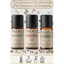 Ondéle 3'lü Sakin Zihin Saf Esansiyel Uçucu Yağ Buhurdanlık Mum Difüzör Kokusu: Lotus,frekans,pure Breeze