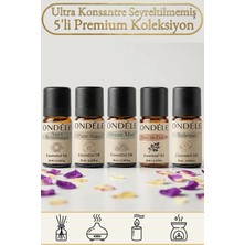 Ondéle 5'li Okyanus ve Orman Uçucu Yağ Difüzör Ortam Kokusu: Ocean,sedir,anti Stress,aura,pure Aura