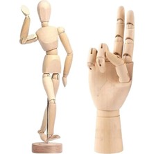 MarkEntegra Hareketli Insan ve El Modeli, 20 cm ve 25 cm Boyutunda