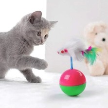 MarkEntegra Eğitici Kedi Oyuncak Seti - Tüylü Fareli Hacı Yatmaz Top