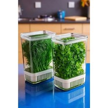 MarkEntegra Taze Yeşillik Saklama Kabı Seti, Soğan ve Maydanoz Için 2 Li