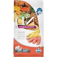 MarkEntegra Somonlu ve Tropikal Meyveli Orta ve Büyük Irk Köpek Maması, 2 kg